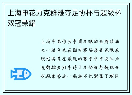 上海申花力克群雄夺足协杯与超级杯双冠荣耀